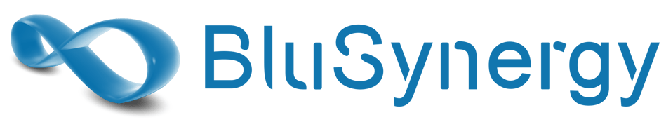 blusynergy_logo_final.png